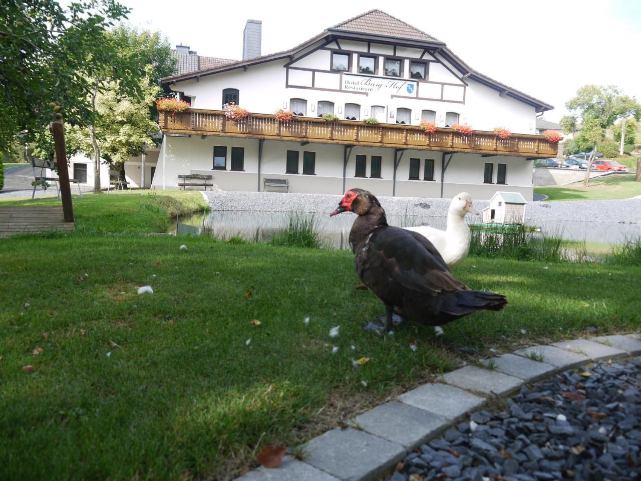 Hotel Burg Hof Экстерьер фото